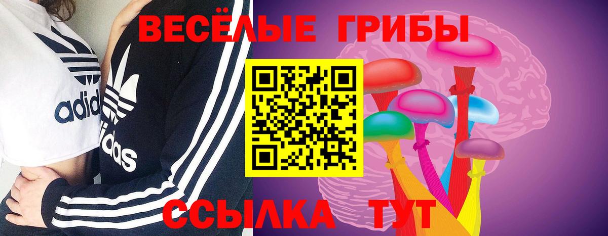 Галлюциногенные грибы MAGIC MUSHROOMS  Вход с VPN  Галлюциногенные грибы MAGIC MUSHROOMS  Волгоград 
