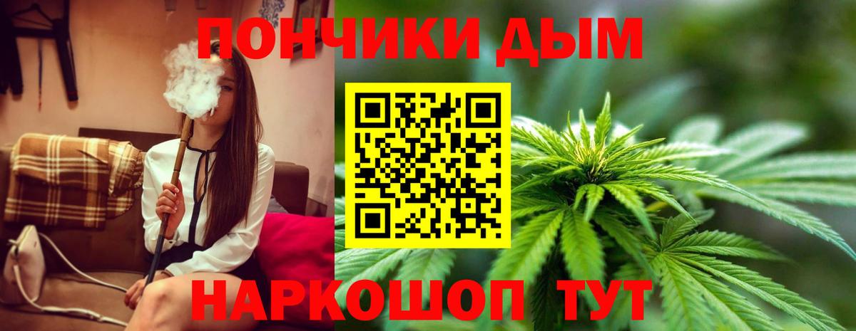 Бошки Шишки THC 21% Волгоград